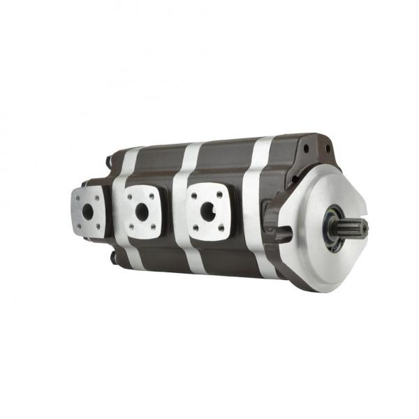 Denison T6C-020-1L00-A1 Single Vane Pumps #1 image
