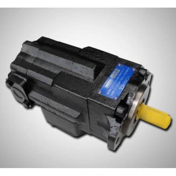 Rexroth PVV21-1X/040-018RA15DDMB Fixed Displacement Vane Pumps #2 image
